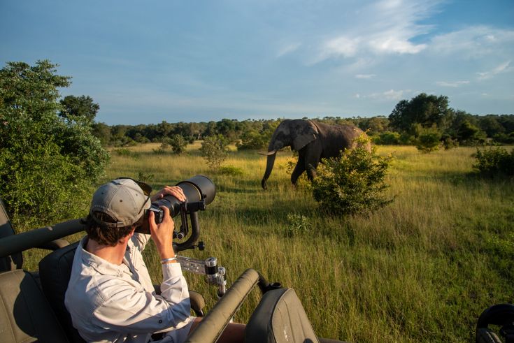 Level Up Your Wildlife Photography With The GimPro Arm - Londolozi Blog.jpg