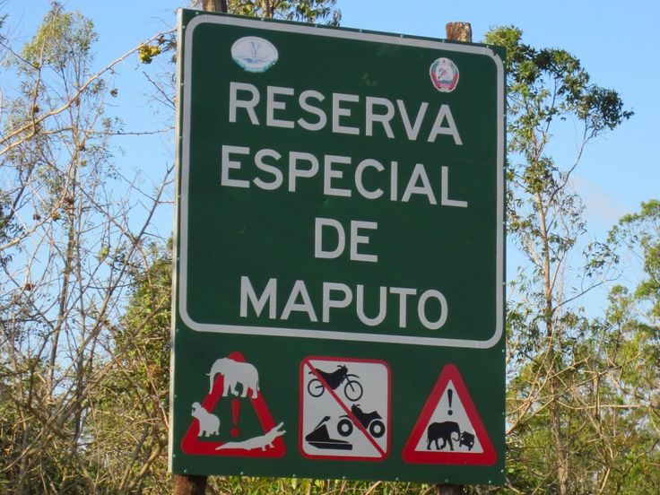 Mozambique - La Reserva de Elefantes.jpg