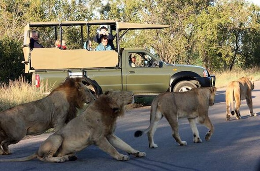 [SFR] Kruger Park Day Trip
